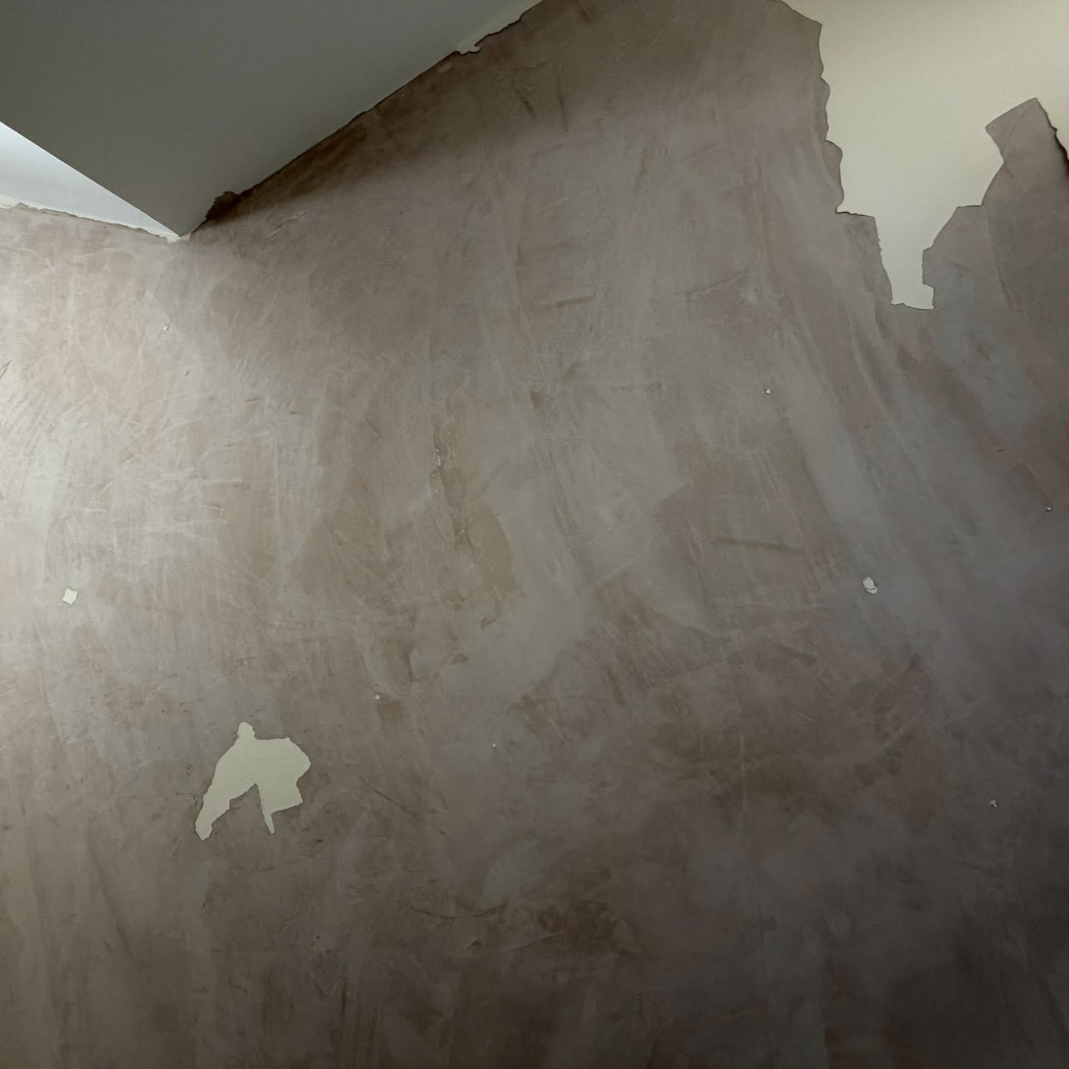 Newly skimmed plaster wall drying out ahead of sealing and painting