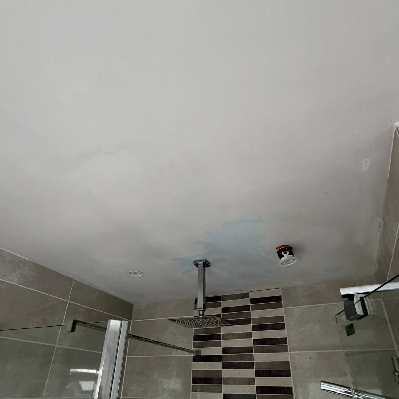 Bathroom with freshly painted ceiling and walls above a chequered floor